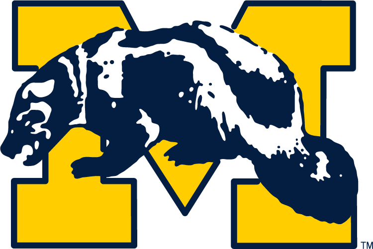Michigan Wolverines 1964-1978 Primary Logo diy iron on heat transfer